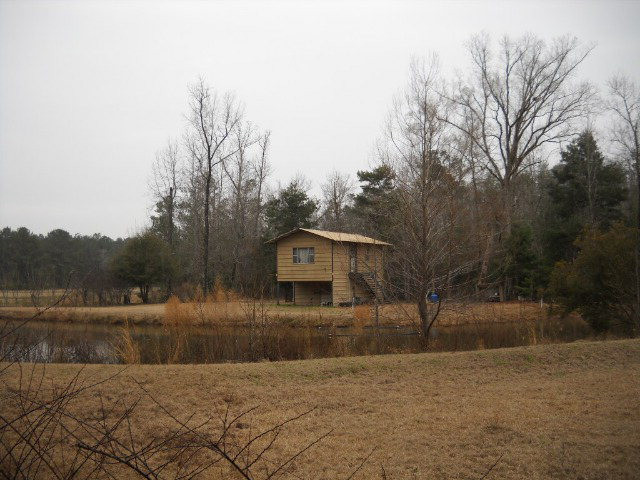 341 Luther Saucier Road Carthage, MS 39051 - Photo 1 of 1 Main View