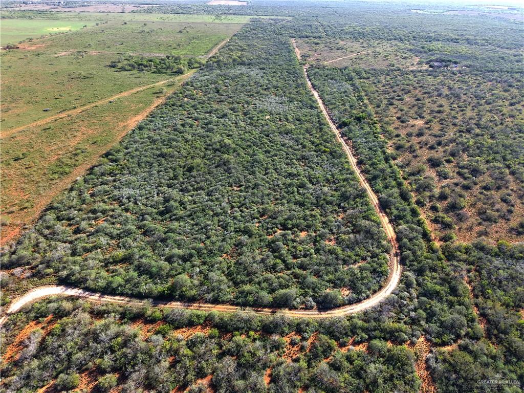 5212 Fm 1017 Delmita, TX 78536 - Photo 12 of 17