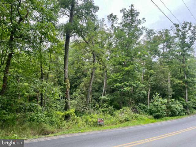 Frontage on Covington Road