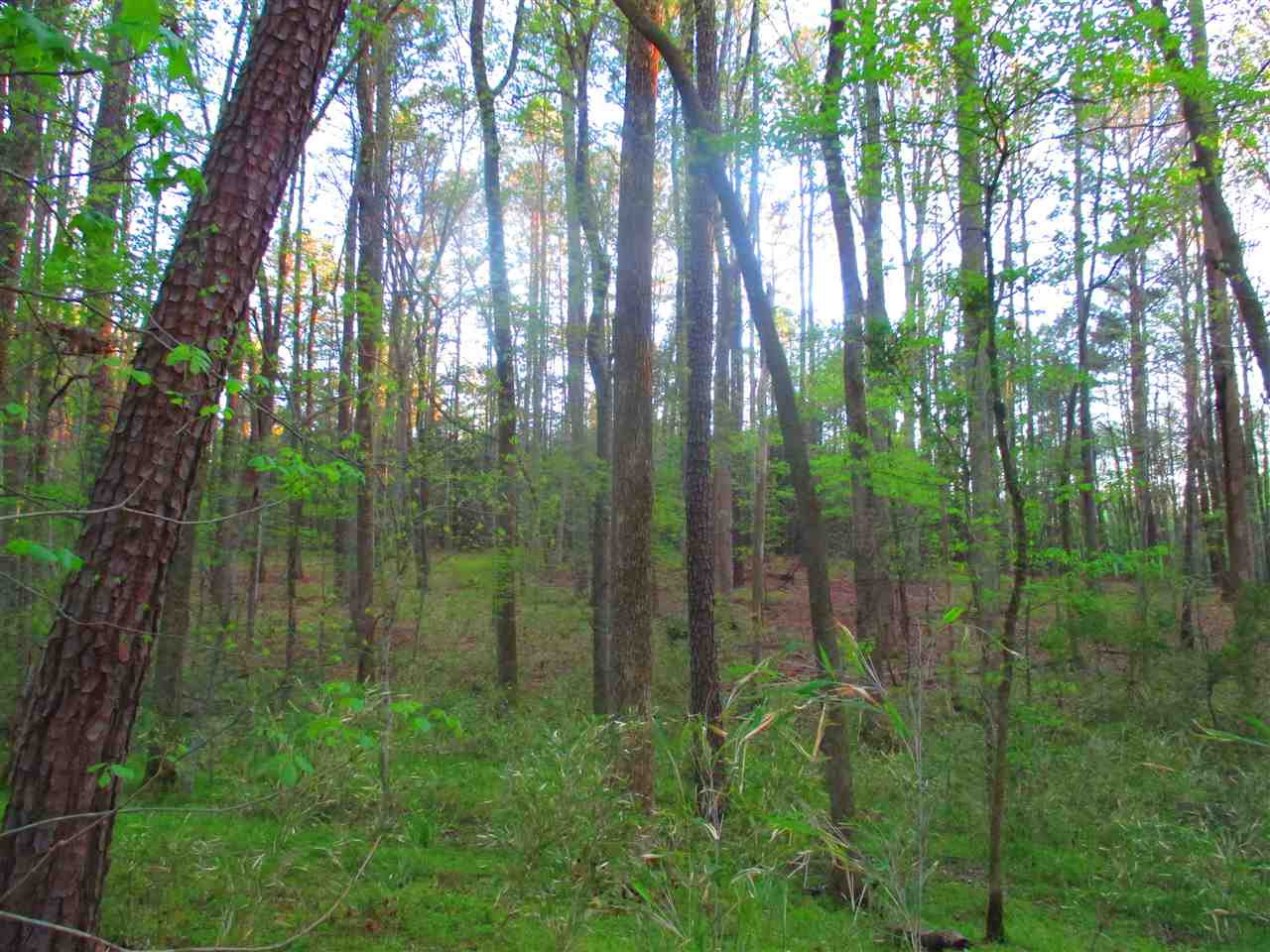 1416 Flying Hawk Road Apex, NC 27523 - Photo 7 of 13 Photo 7