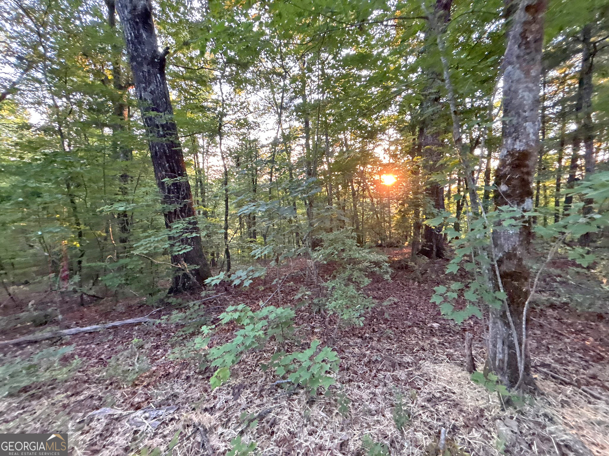 Lot 18 Mt Springer Road Ellijay, GA 30540 - Photo 26 of 31