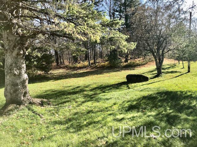 2003 Palms Road Bessemer, MI 49911 - Photo 30 of 47 Gallery Image 30
