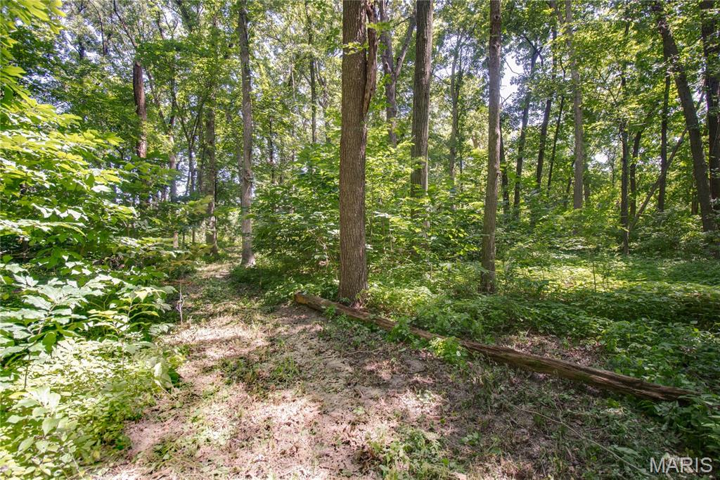 9368 Rhea Park Road Loami, IL 62661 - Photo 39 of 54