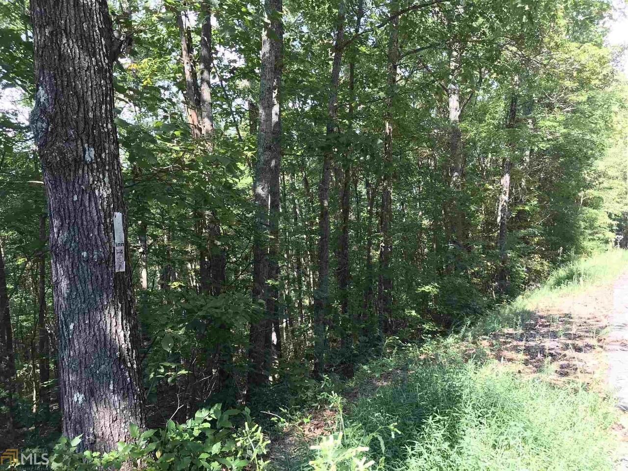 0 Laurel Crossing, Unit 131 Blue Ridge, GA 30513 - Photo 1 of 1 a view of a large trees with lots of trees