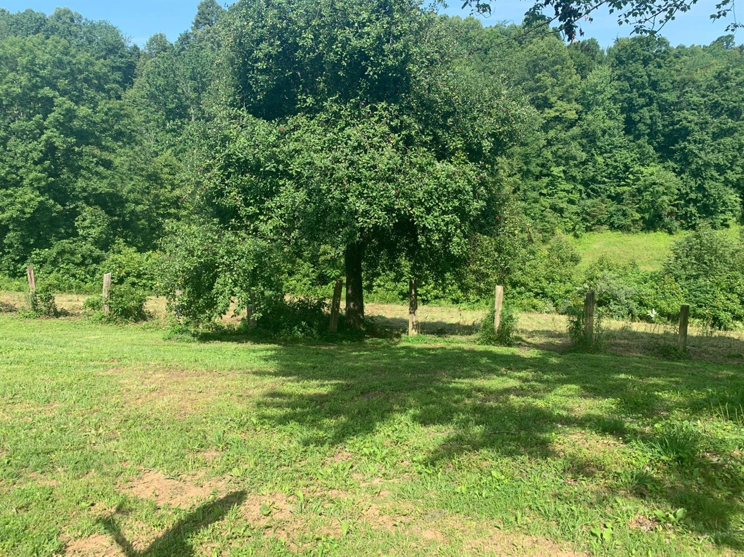 50 C Proffitt Road London, KY 40741 - Photo 48 of 49 Photo 51
