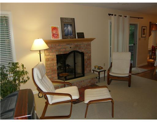 224 Wray Large Road Jefferson Hills, PA 15025 - Photo 9 of 18 Den/Family/Great Room. LOG BURNING FIREPLACE WITH GAS STARTER!