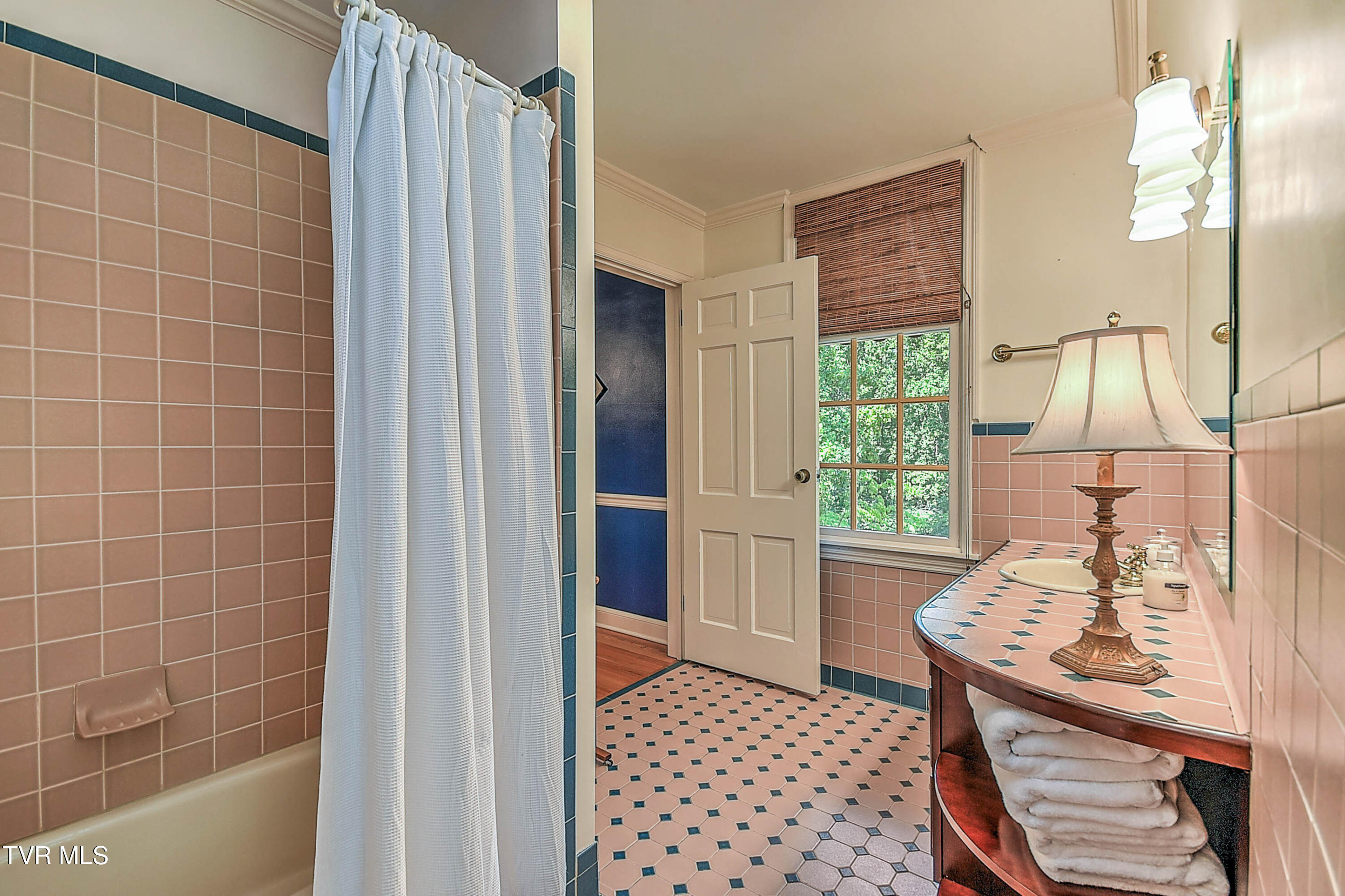 733 Windmill Circle Bristol, VA 24201 - Photo 87 of 116 733 Windmill Cir DK-87