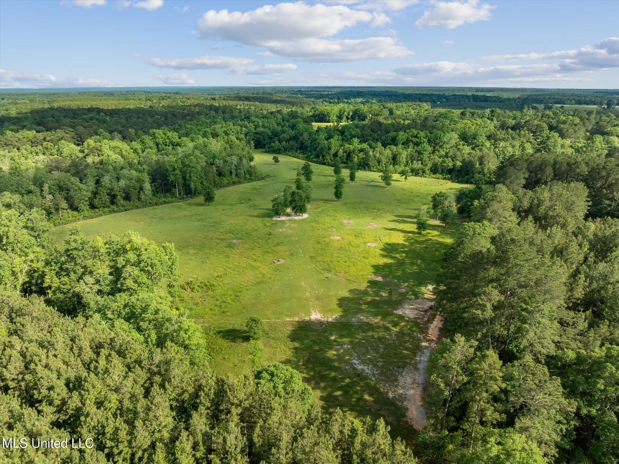 266 West P A Road North Moselle, MS 39459 - Photo 88 of 97 023-DJI_0131