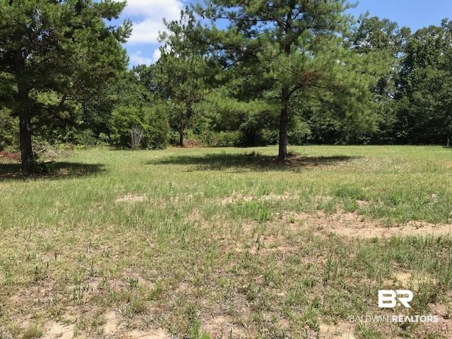 339 Blackburn Lane Brewton, AL 36426 - Photo 4 of 13 Land