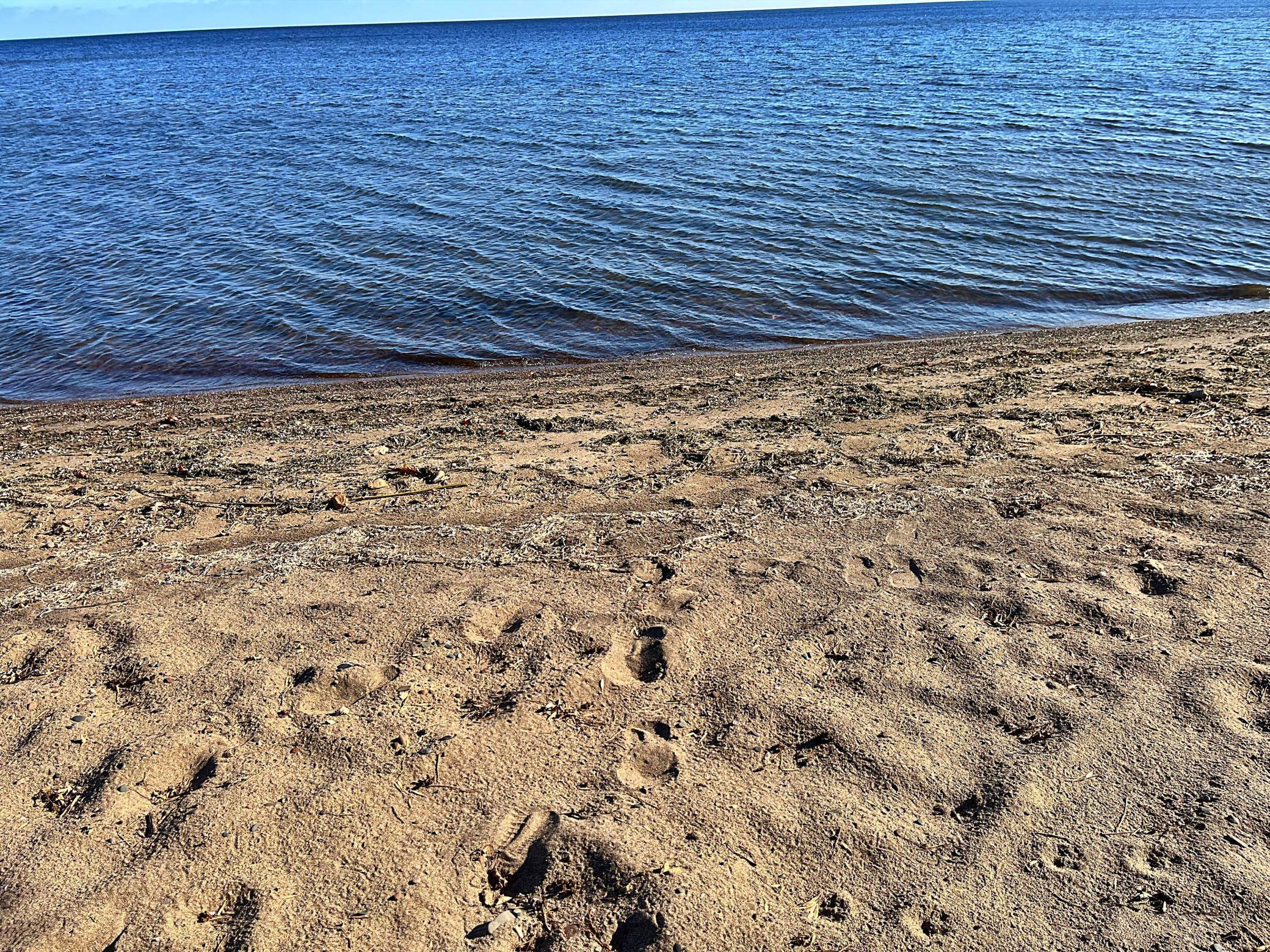 9699 Highway 169 Garrison, MN 56450 - Photo 4 of 53