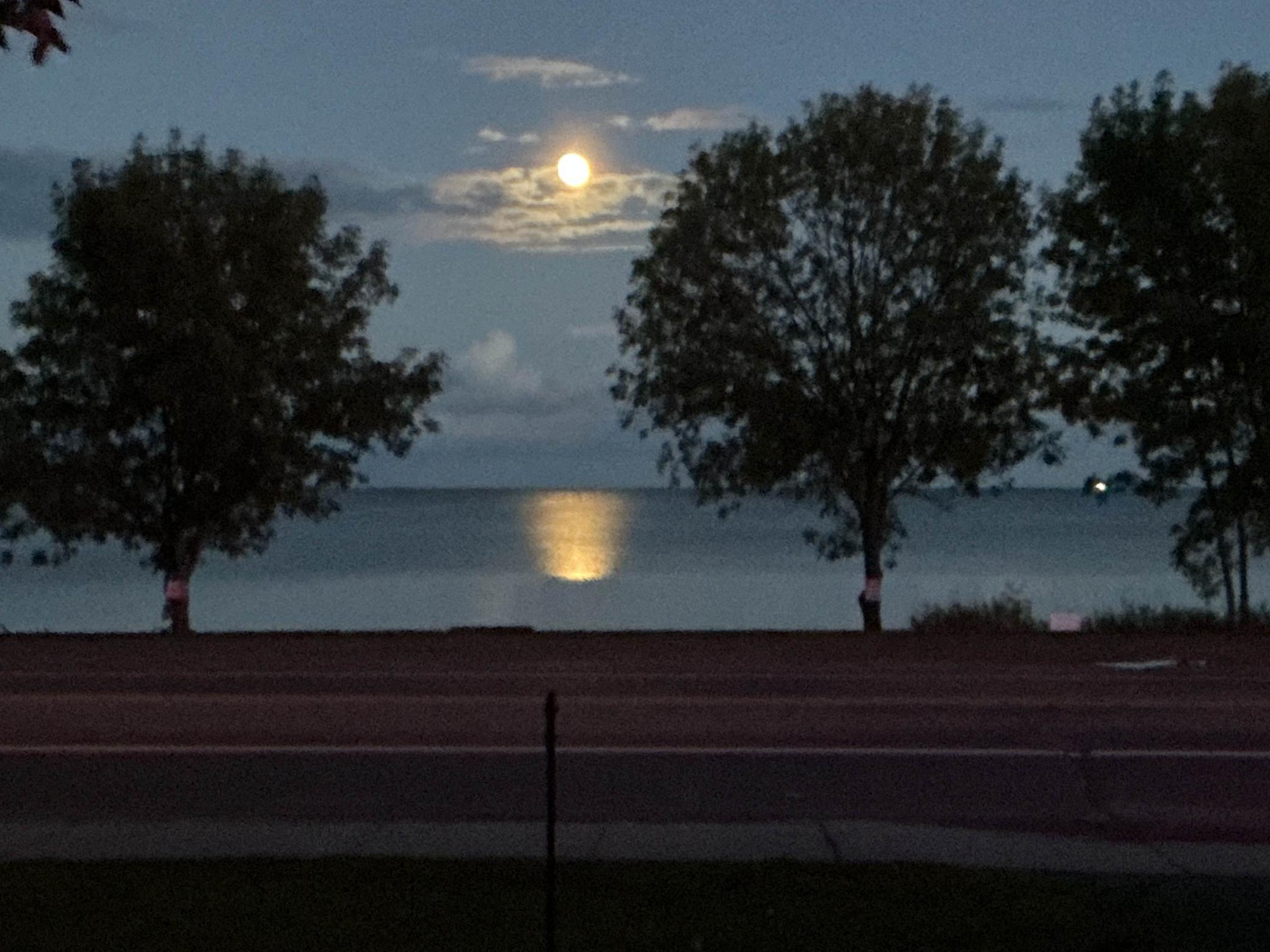 9699 Highway 169 Garrison, MN 56450 - Photo 51 of 53