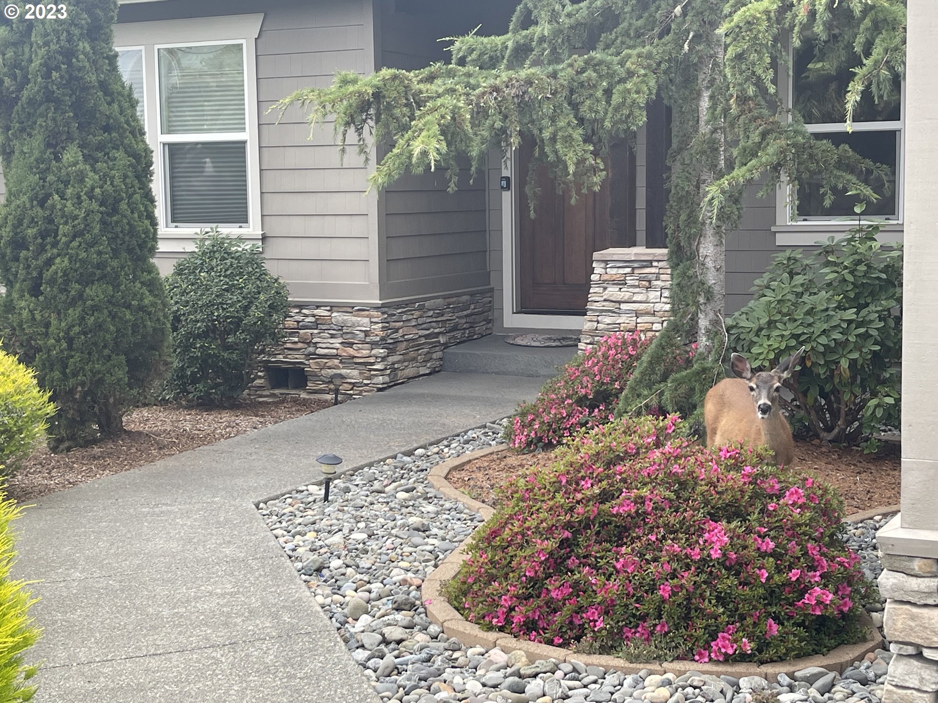 123 Tanbark Road Brookings, OR 97415 - Photo 45 of 48 Gallery Image 45