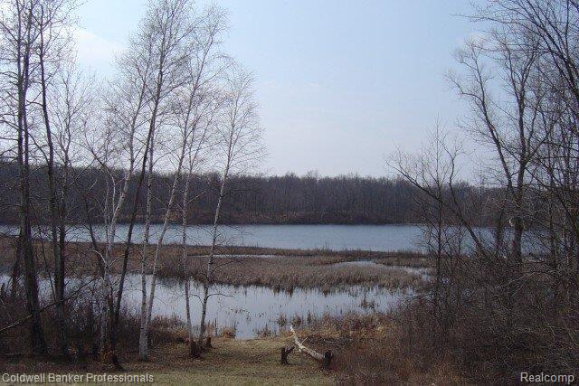 16150 Tindall Road Holly, MI 48442 - Photo 3 of 11 lakeview