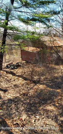 a view of a yard with a bench