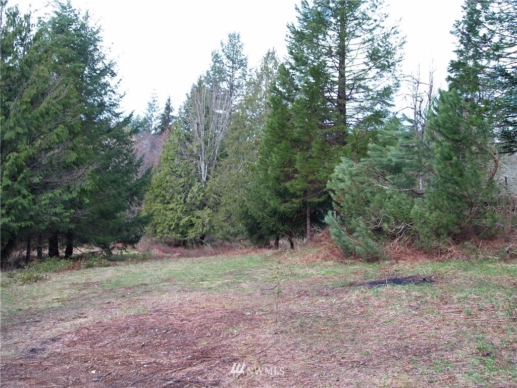 7709 Delphi Road Southwest Olympia, WA 98512 - Photo 3 of 5 Gallery Image 3