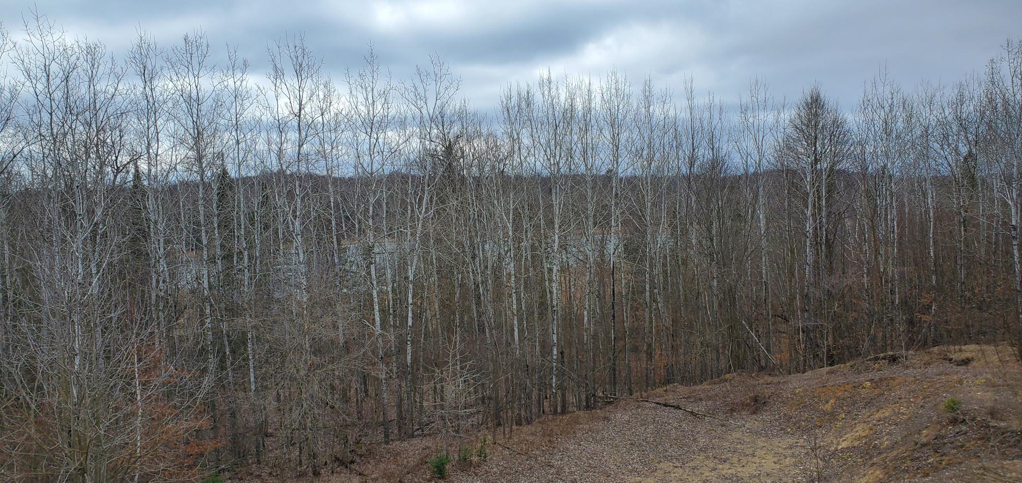 38953 Ada Beach Road Ponsford, MN 56575 - Photo 80 of 94