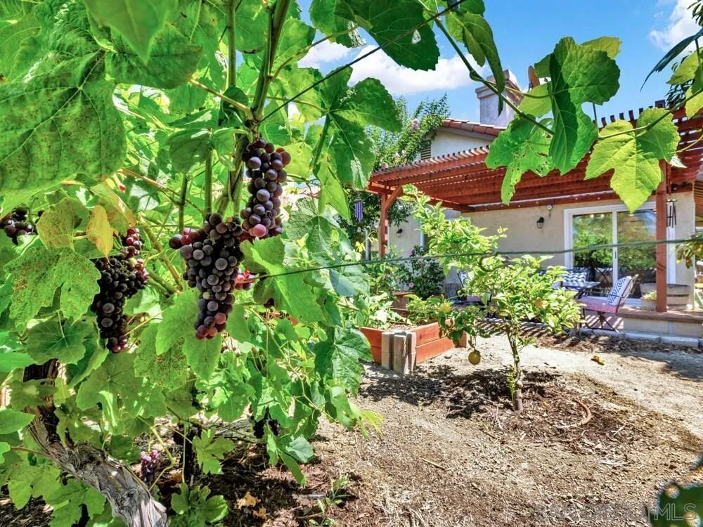 1591 Madrid Drive Vista, CA 92081 - Photo 35 of 40 a backyard with table and chairs and potted plants