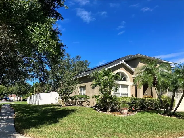 a view of a tree with a yard