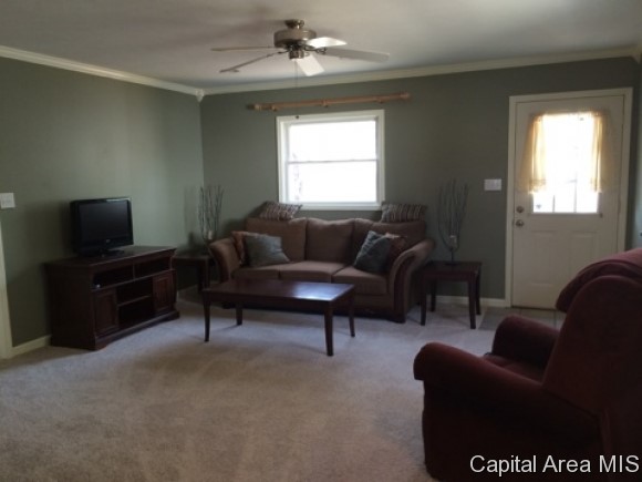 3301 South Palmer Street Springfield, IL 62703 - Photo 3 of 16