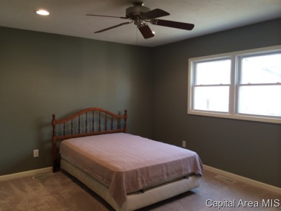 3301 South Palmer Street Springfield, IL 62703 - Photo 9 of 16