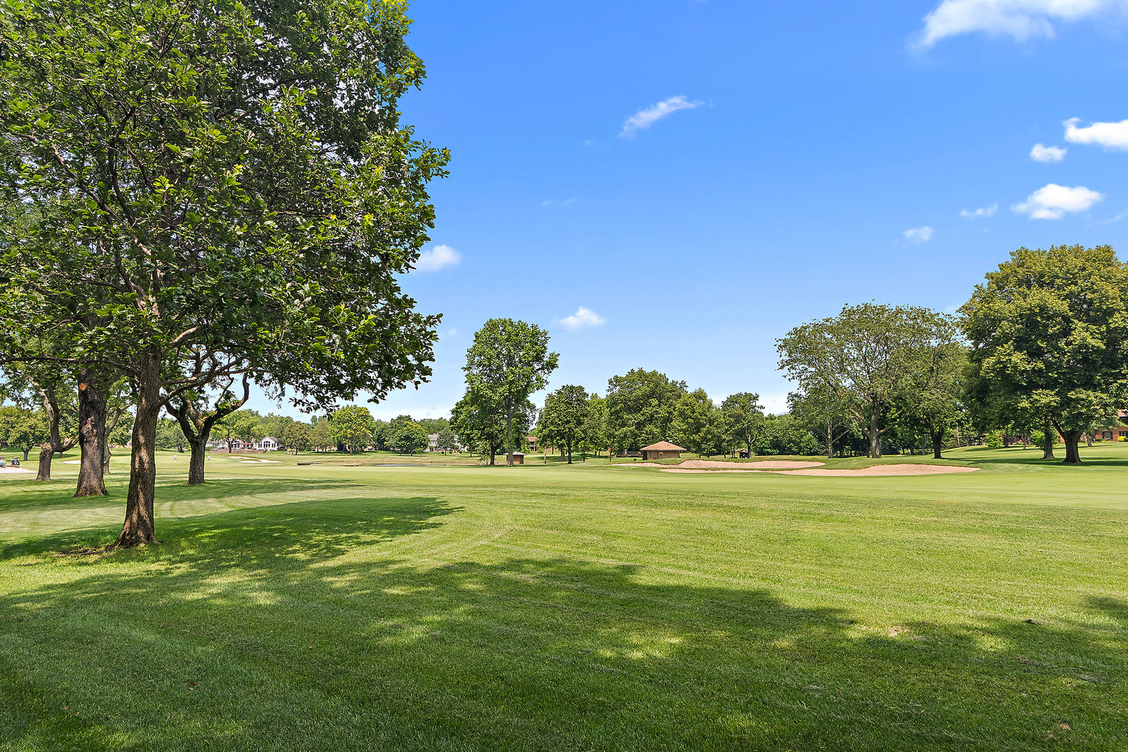 515 Aberdeen Road Frankfort, IL 60423 - Photo 56 of 67