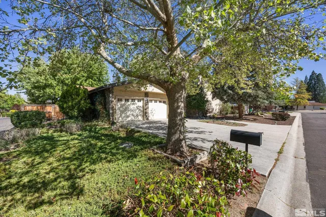 a view of a garden with large trees