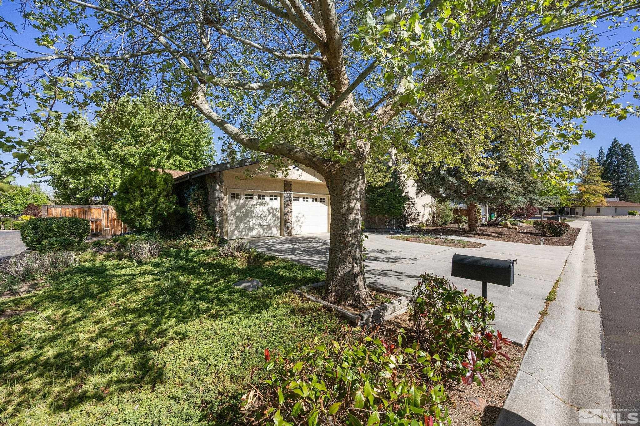 a view of a garden with large trees