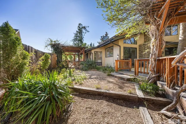 a view of a yard with plants and trees