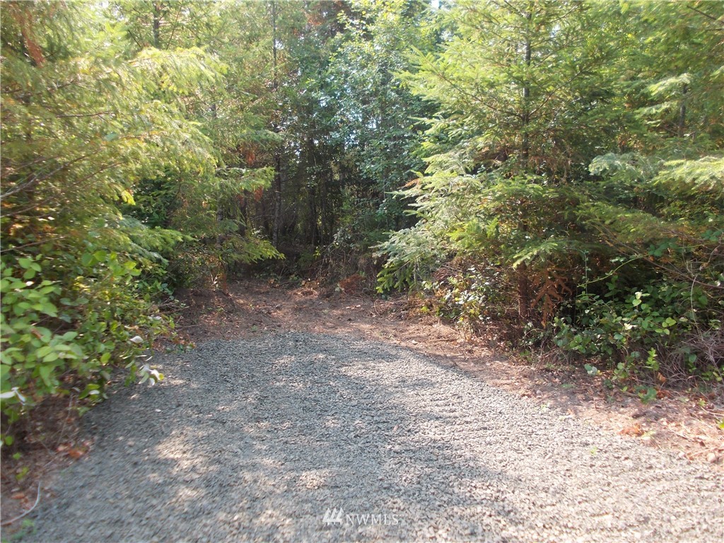 2 Southeast Bloomfield Road Shelton, WA 98584 - Photo 2 of 6 Gallery Image 2