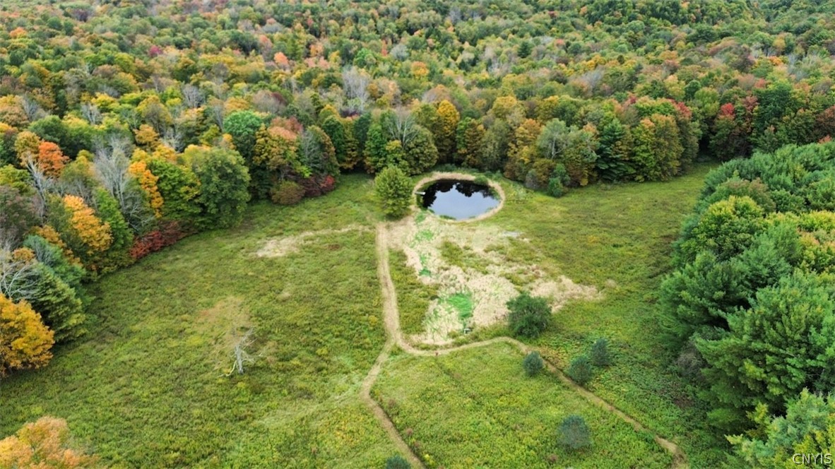 5099 Conrad Road Willet, NY 13040 - Photo 46 of 50 Gallery Image 46