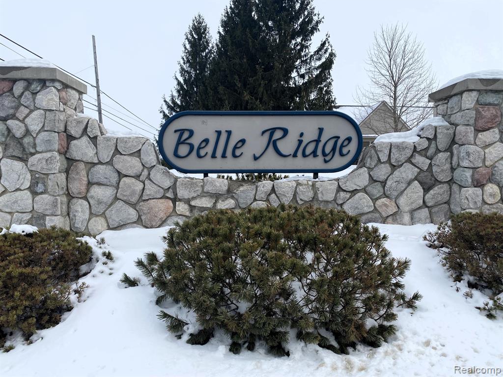 4171 Belle Ridge Drive Dryden, MI 48428 - Photo 2 of 23