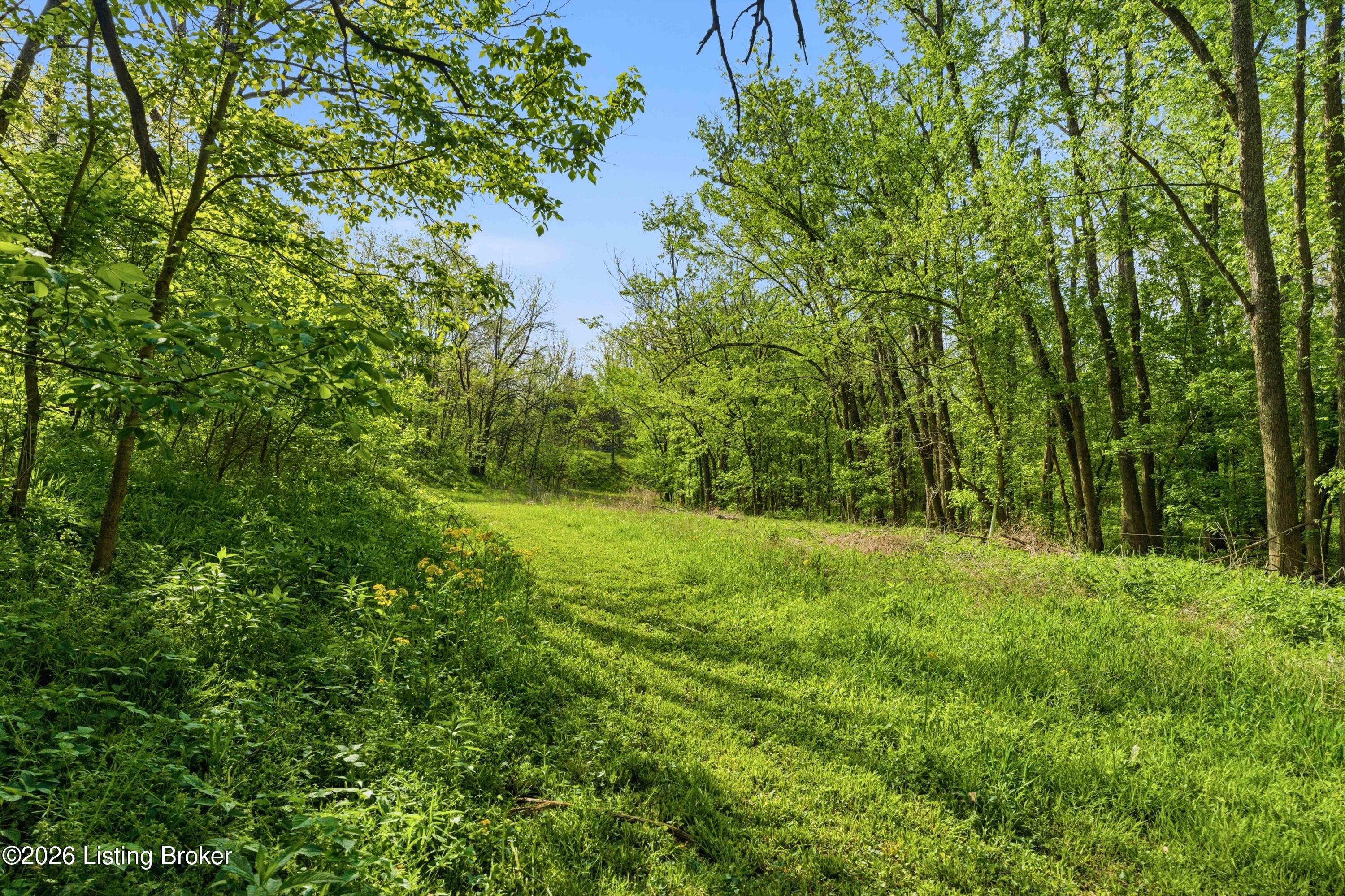 2010 Beech Grv Road Shepherdsville, KY 40165 - Photo 78 of 82 DSC07482