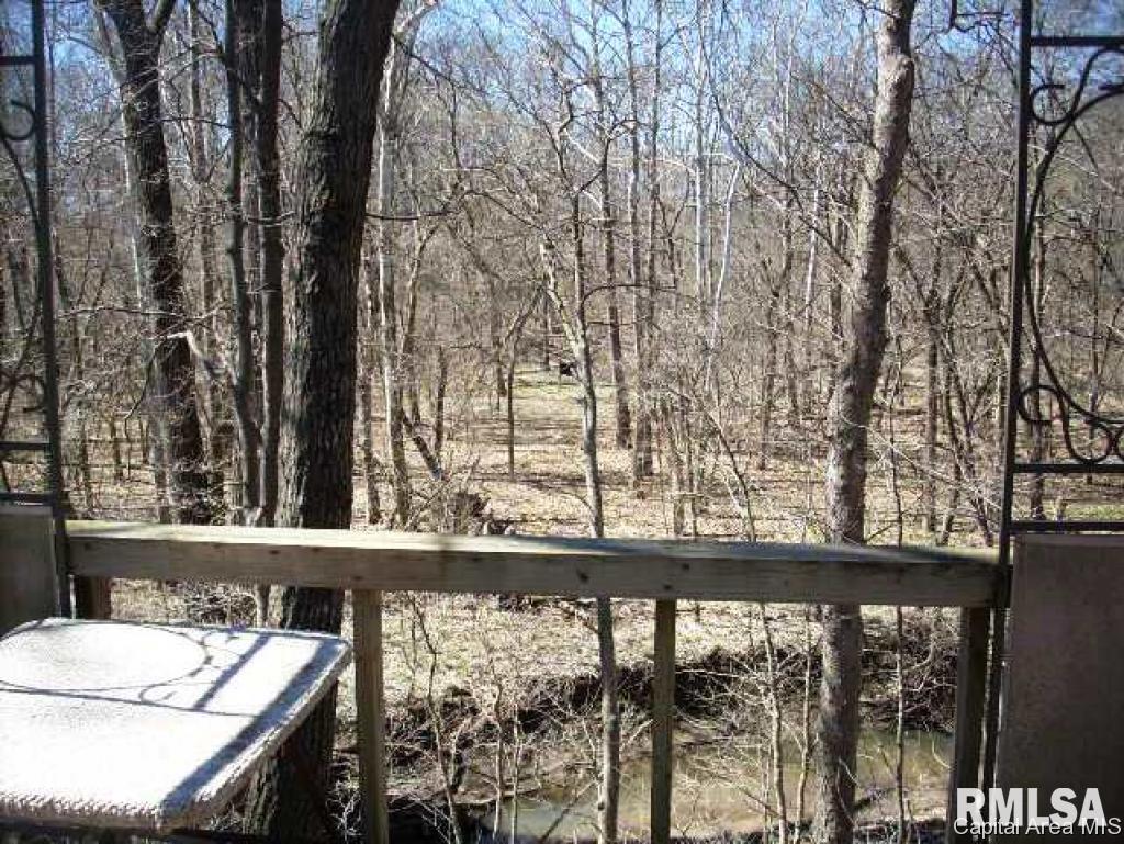 21901 Nursery Road Carlinville, IL 62626 - Photo 23 of 24 Gallery Image 23