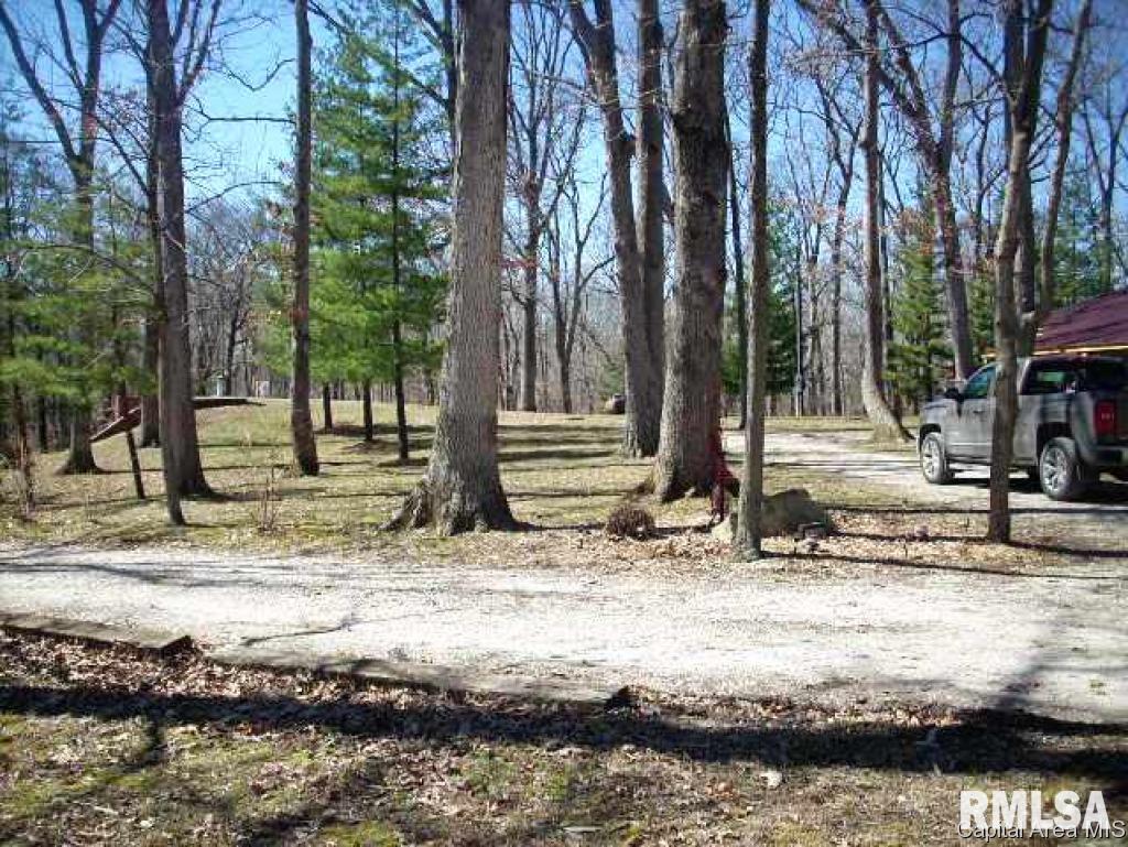21901 Nursery Road Carlinville, IL 62626 - Photo 24 of 24 Gallery Image 24