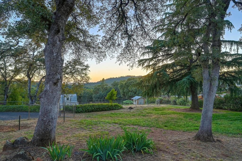 4956 Bell Road Auburn, CA 95602 - Photo 72 of 85