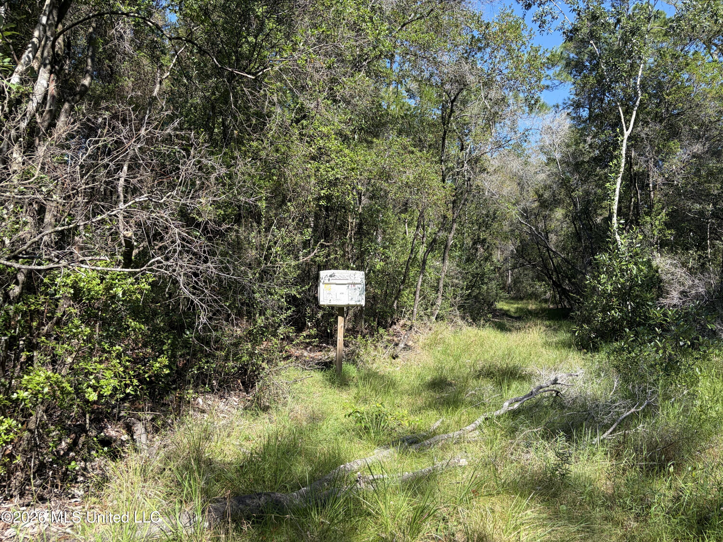 Rayford Shumock Road Moss Point, MS 39562 - Photo 16 of 40 IMG_4506