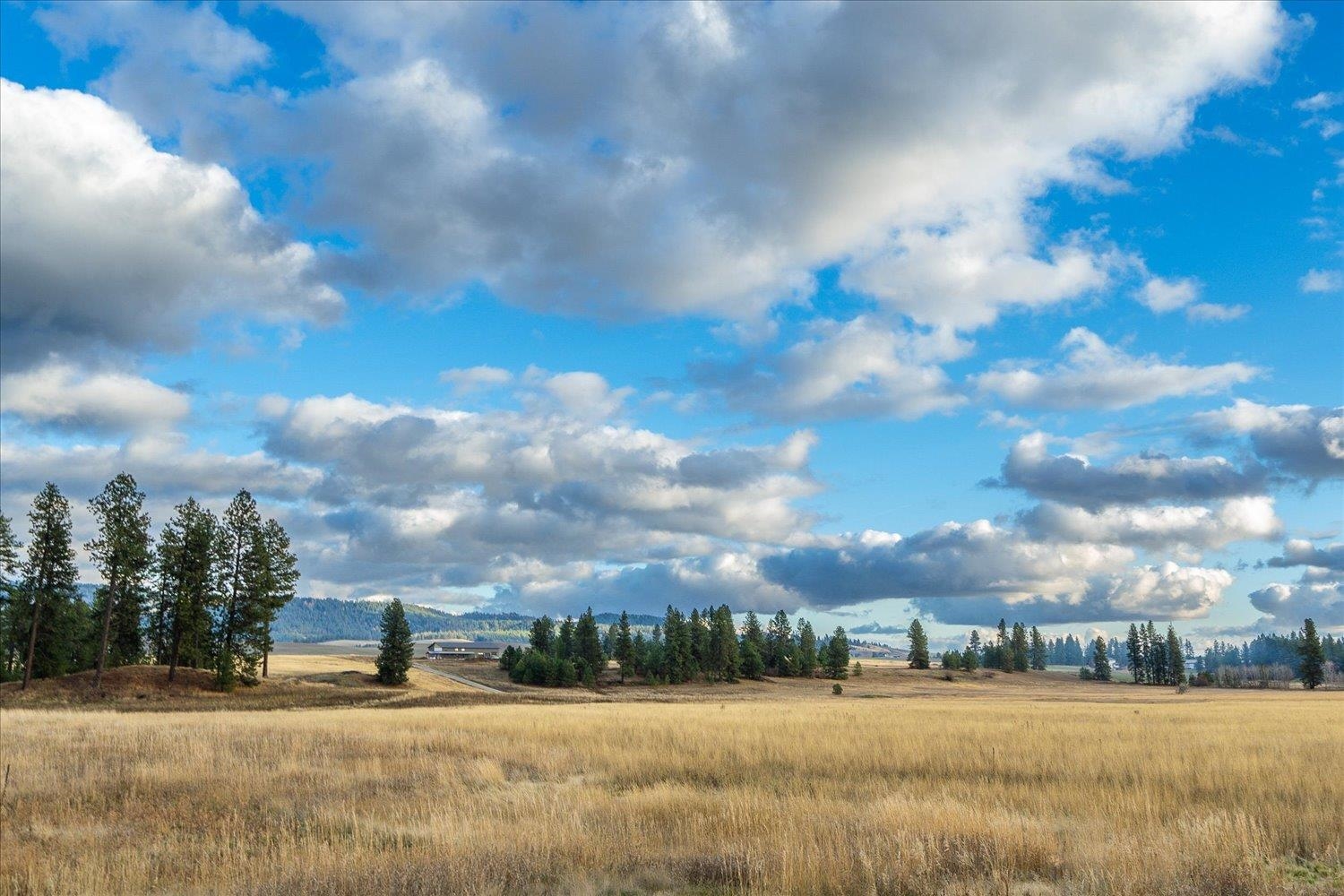 10211 South Madison Road Valleyford, WA 99036 - Photo 41 of 50 Gallery Image 41