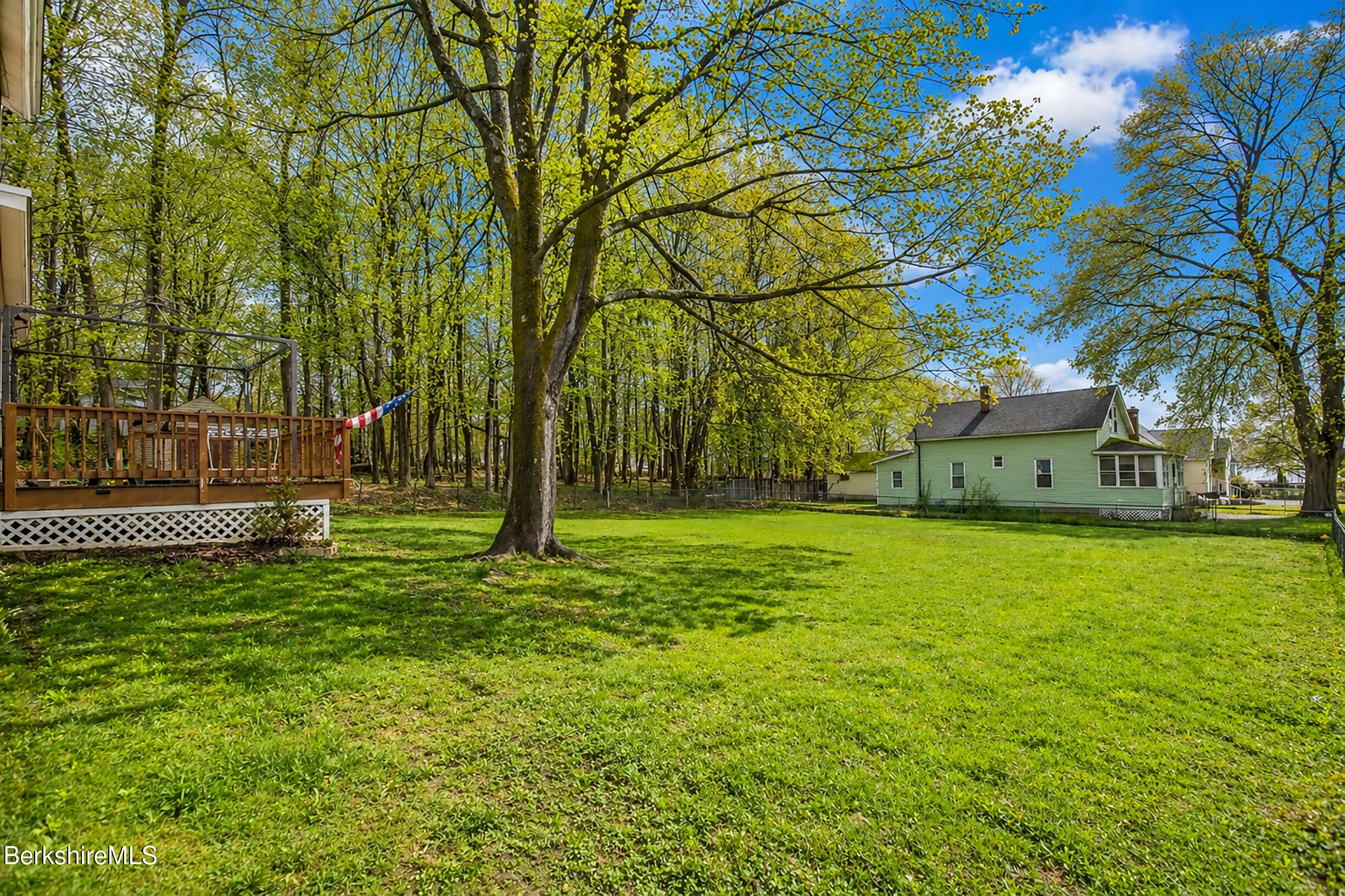 32 Lakeview Street Pittsfield, MA 01201 - Photo 11 of 44 Yard