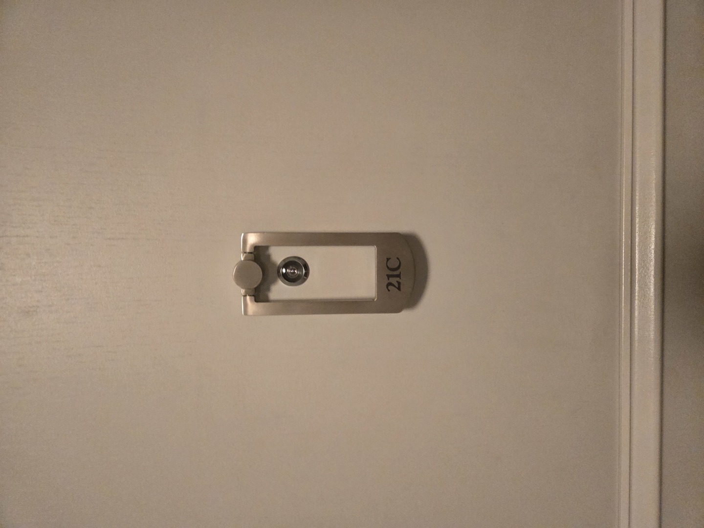 40 East Cedar Street, Unit 21C Chicago, IL 60611 - Photo 2 of 33