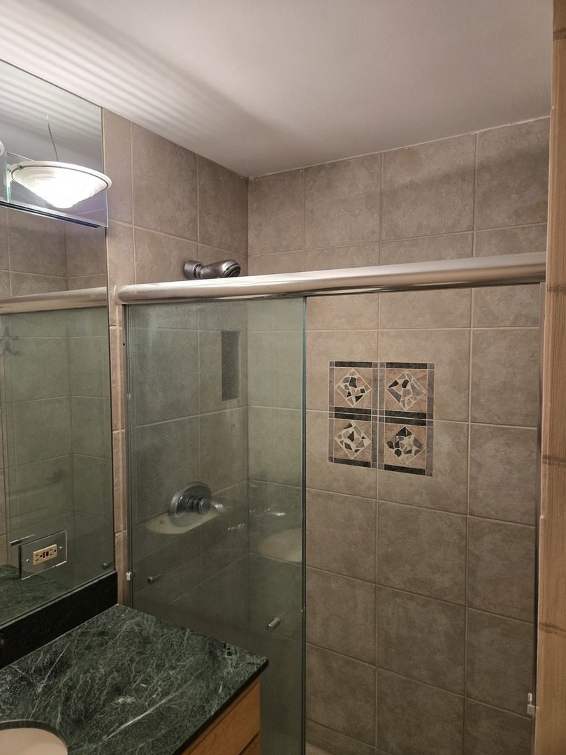 40 East Cedar Street, Unit 21C Chicago, IL 60611 - Photo 21 of 33 a bathroom with a shower and toilet