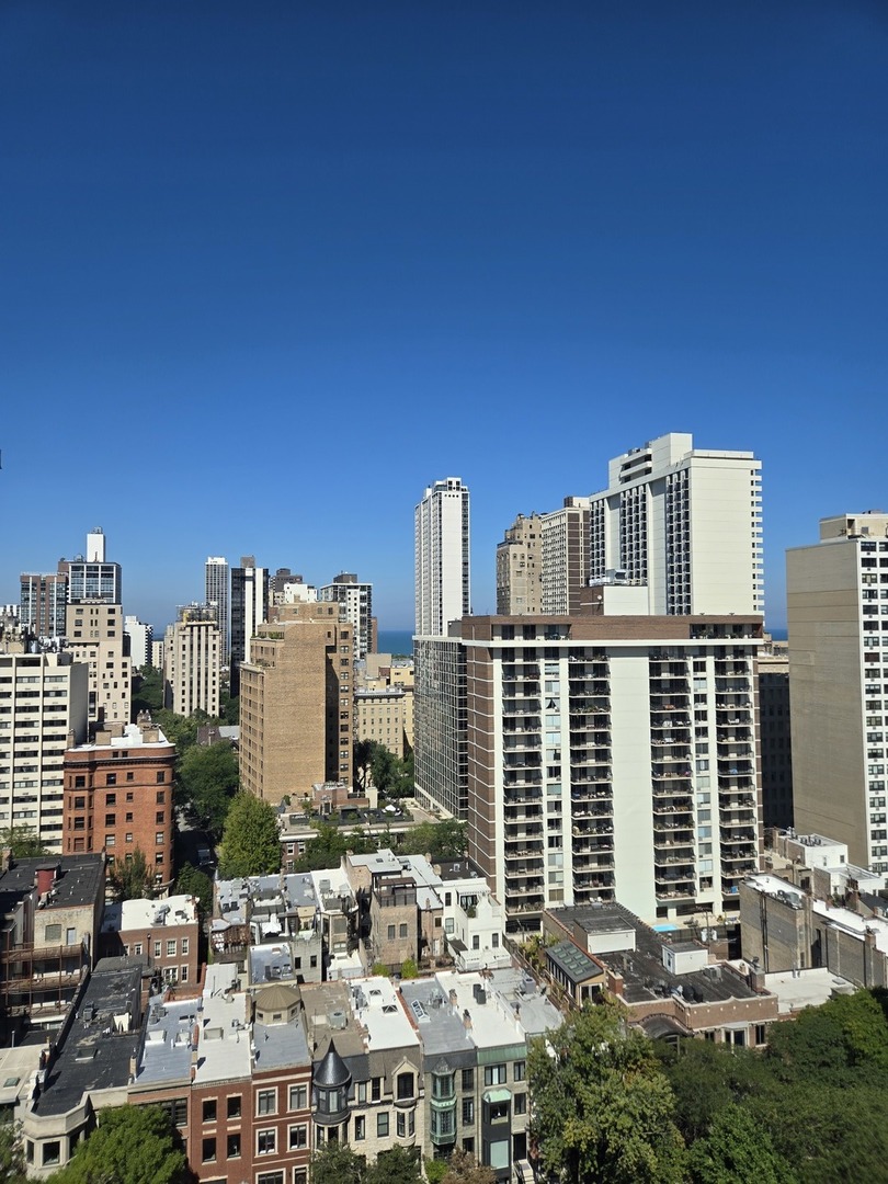 40 East Cedar Street, Unit 21C Chicago, IL 60611 - Photo 28 of 33 a view of a city with tall buildings