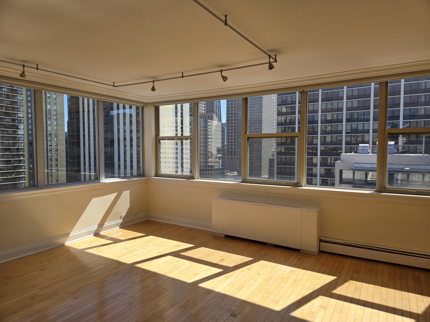 40 East Cedar Street, Unit 21C Chicago, IL 60611 - Photo 8 of 33 a view of a bathtub in a balcony