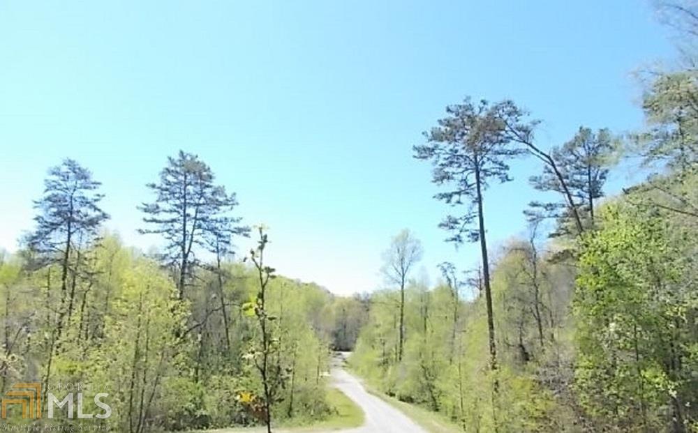 0 Spring Run Drive, Unit LOT 21 Blue Ridge, GA 30513 - Photo 1 of 1