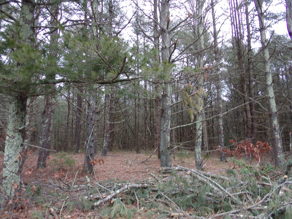 28-1 Keene Road Acushnet, MA 02743 - Photo 3 of 5 Gallery Image 3