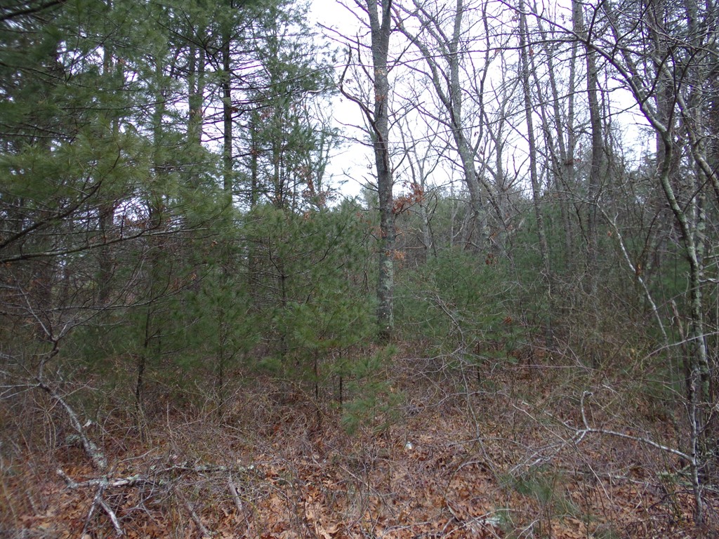 28-1 Keene Road Acushnet, MA 02743 - Photo 4 of 5 Gallery Image 4