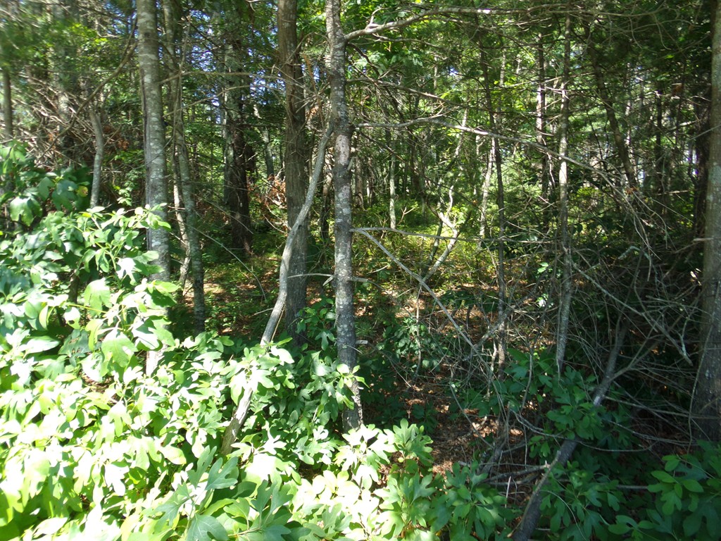 28-1 Keene Road Acushnet, MA 02743 - Photo 5 of 5 Gallery Image 5