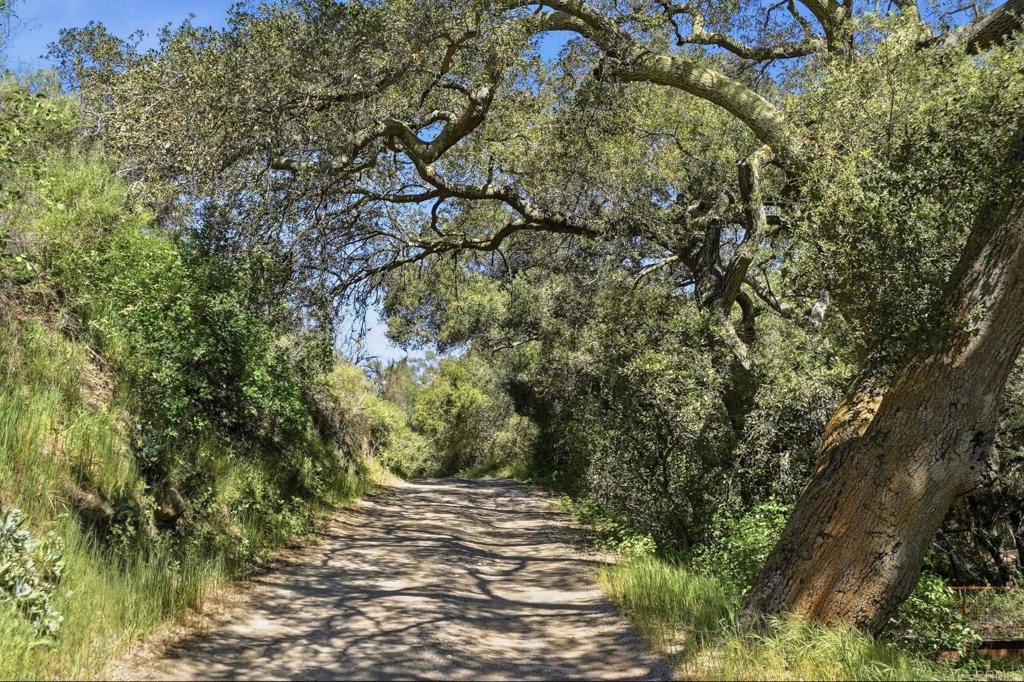 1140 Sloan Cyn Road Jamul, CA 91935 - Photo 61 of 62