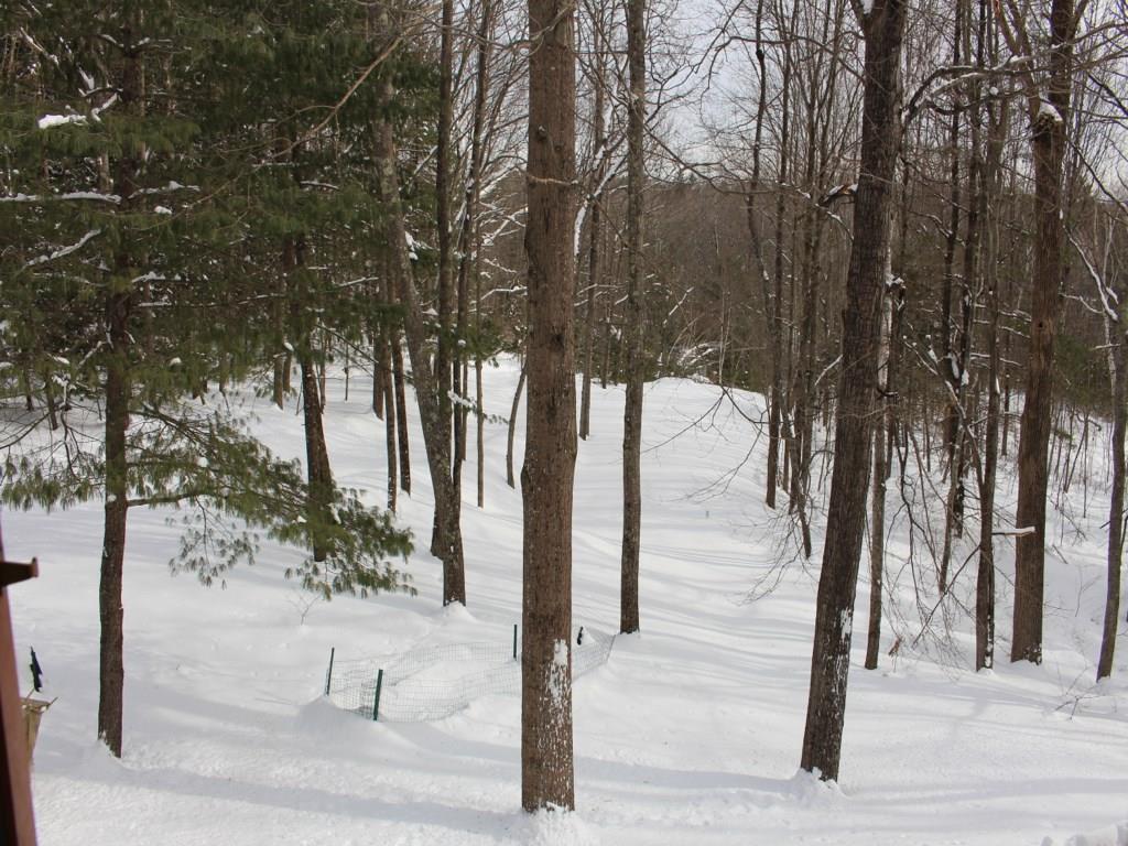 6 Deer Run Road Falmouth, ME 04105 - Photo 23 of 23 Photo