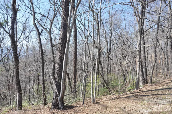 $35,000 | Tbd Mountain Crest Drive South, Unit 41, Marion, NC 28752