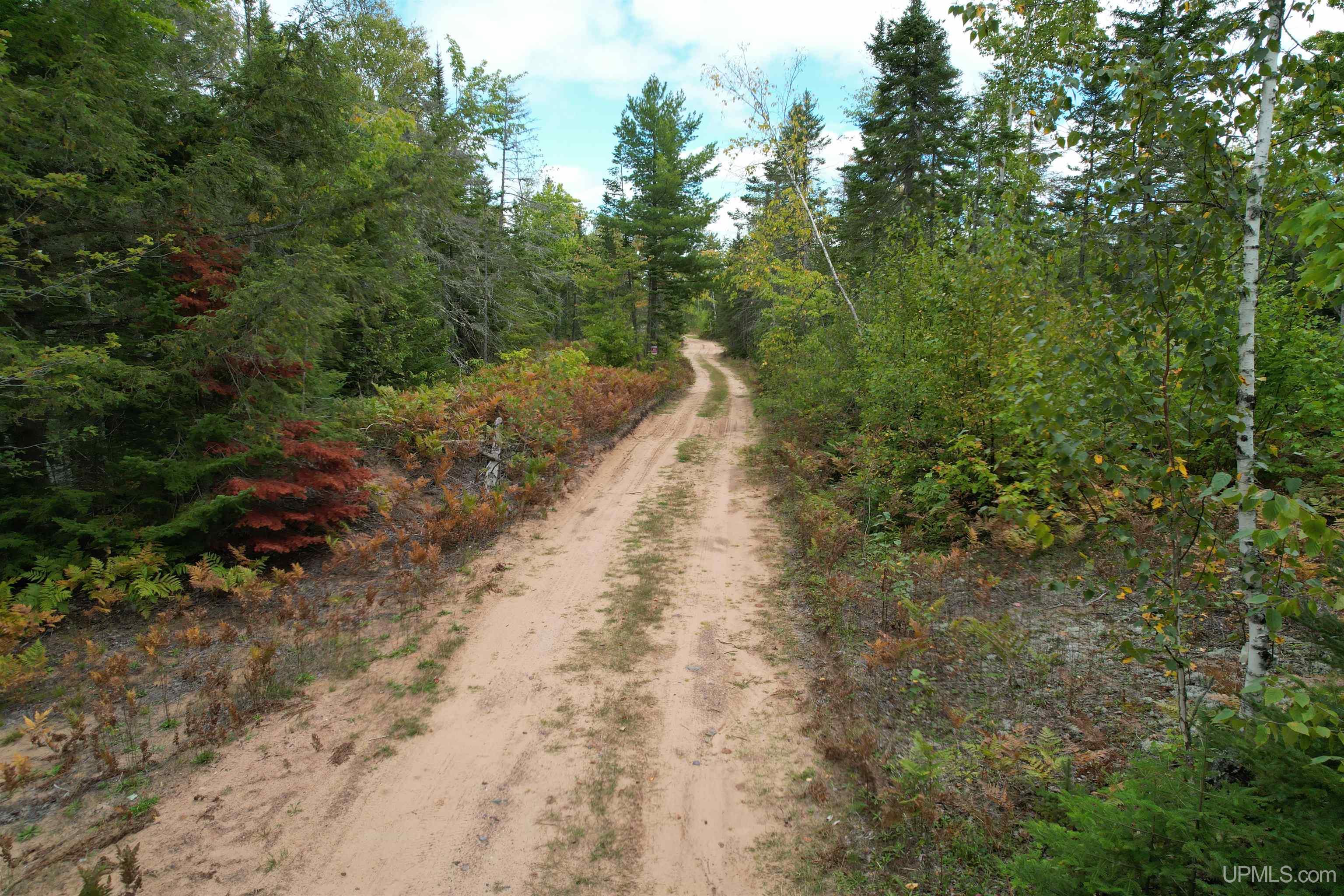 Tbd Evergreen Road Toivola, MI 49965 - Photo 62 of 62
